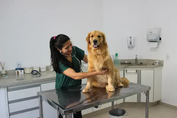 Estrutura da Clínica Santa Clara