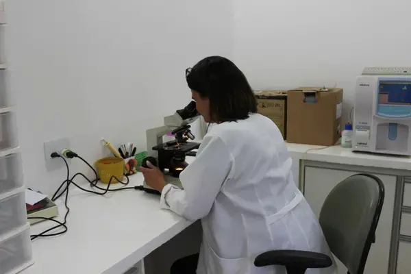 Atendimento veterinário na Santa Clara
